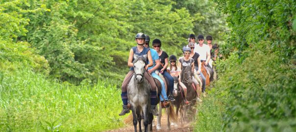 Jump into Spring with Horseback Riding