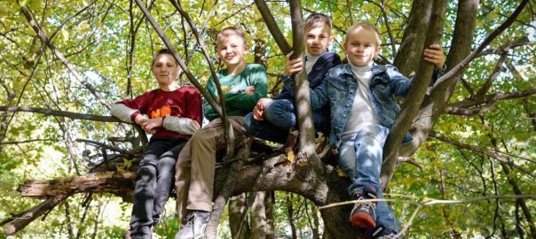 children sitting on a tree